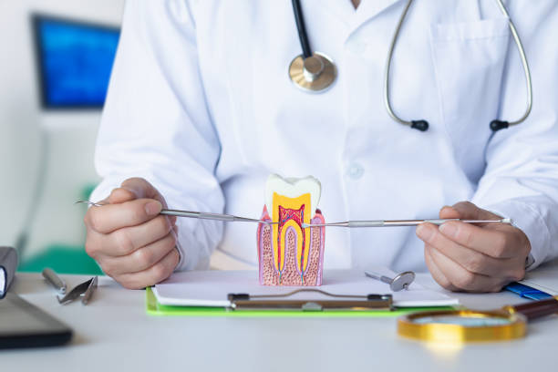 Best Emergency Treatment for Dental Infections or Abscesses in Charlevoix, MI